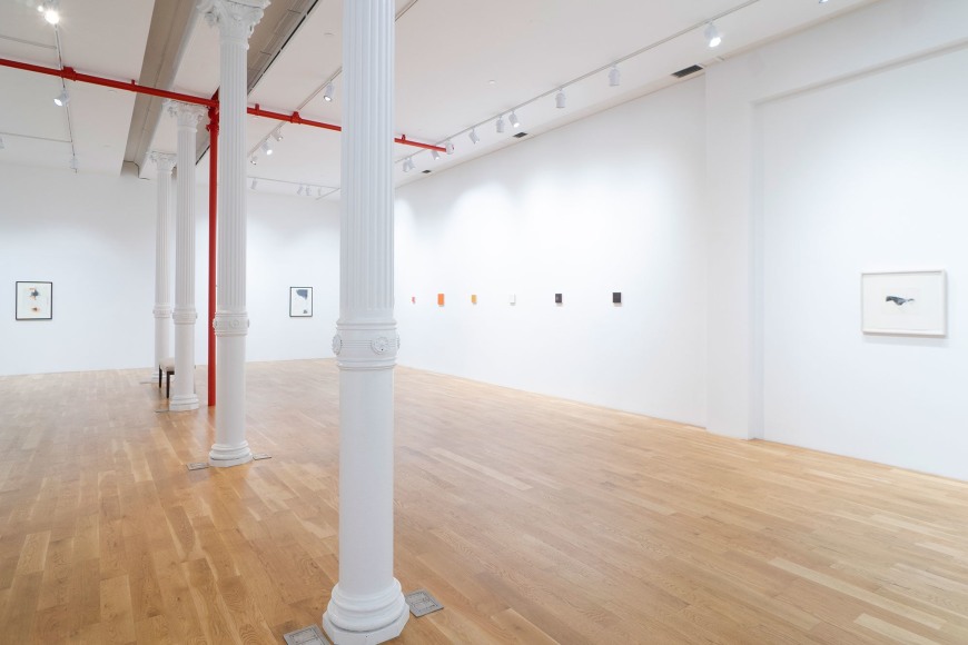 Installation view of Summer Exhibition Anita Rogers Gallery