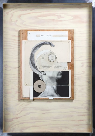 Hans Neleman, Reproduct, 2015, Mixed media, 24&quot; x 34&quot; x 4&quot;