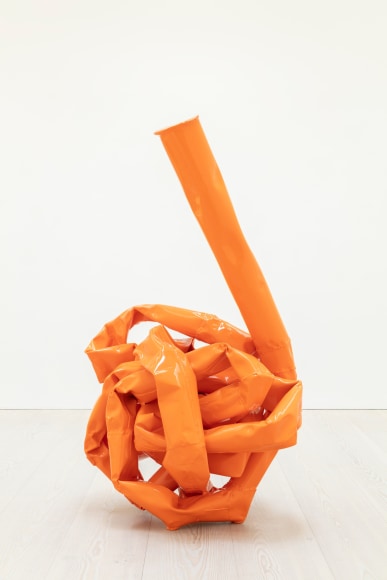 Anna Fasshauer