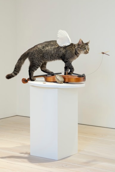 Ismo Kajander