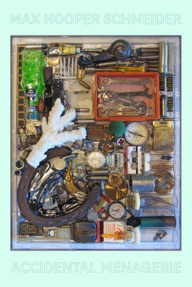 Max Hooper Schneider