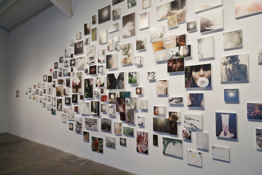 Installation view of &quot;Liza Ryan: Rare Bloom&quot; at Kayne Griffin Corcoran, Los Angeles