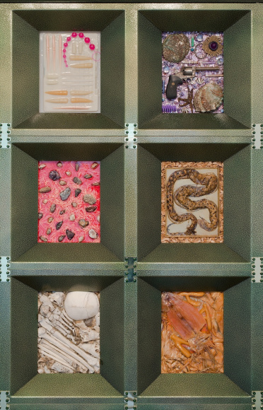 Max Hooper Schneider