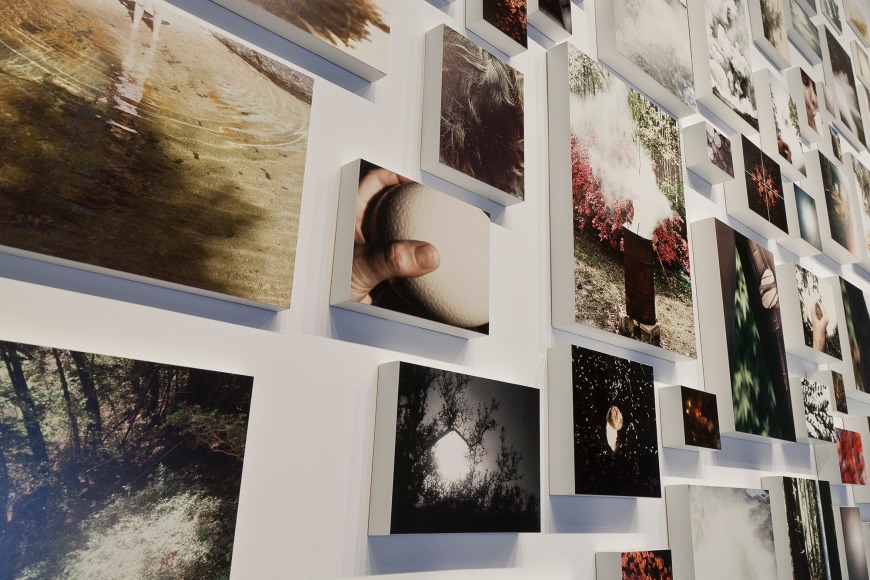 Installation view of &quot;Liza Ryan: Rare Bloom&quot; at Kayne Griffin Corcoran, Los Angeles