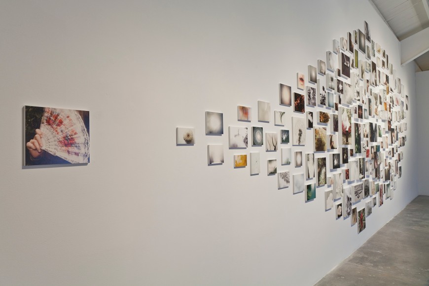 Installation view of &quot;Liza Ryan: Rare Bloom&quot; at Kayne Griffin Corcoran, Los Angeles