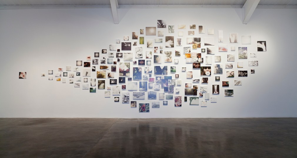 Installation view of &quot;Liza Ryan: Rare Bloom&quot; at Kayne Griffin Corcoran, Los Angeles