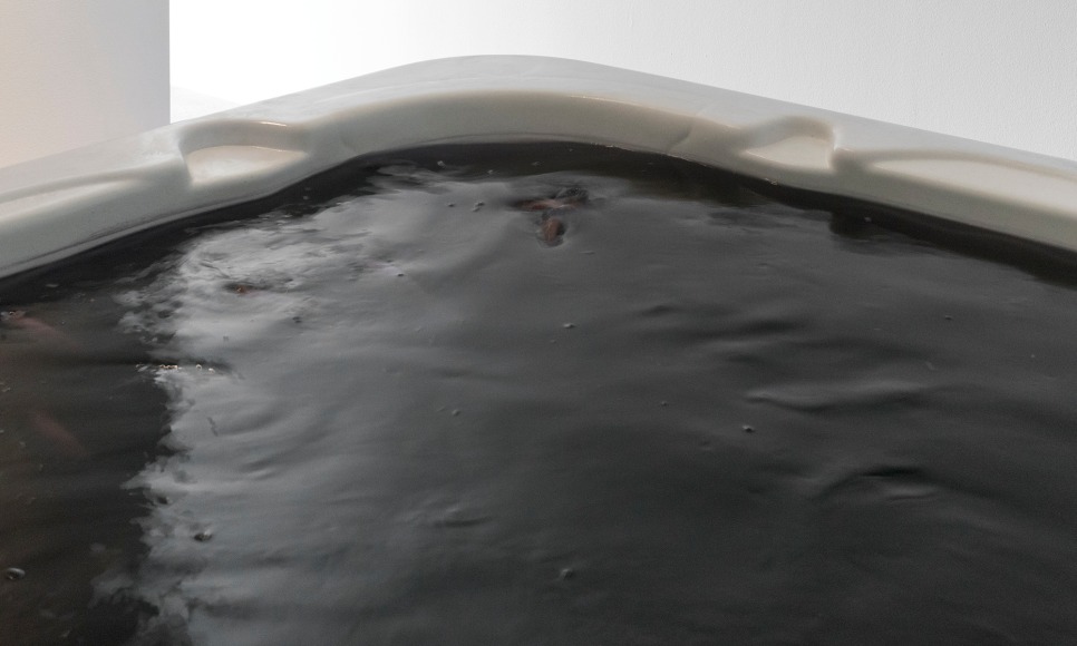 Max Hooper Schneider