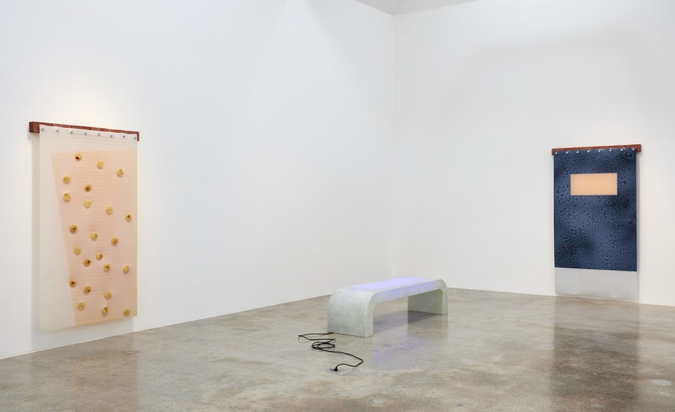 Installation view of &quot;Rosha Yaghmai: The Courtyard&quot; at Kayne Griffin Corcoran, Los Angeles