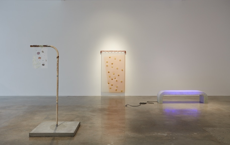 Installation view of &quot;Rosha Yaghmai: The Courtyard&quot; at Kayne Griffin Corcoran, Los Angeles