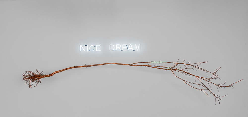 Farnaz Rabieijah - Ci 2017