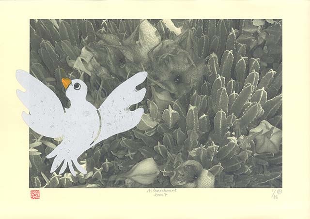 Astonishment, Afsoon