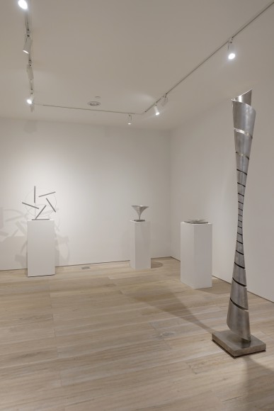 Installation view: Martin Willing: Sculpting Motion