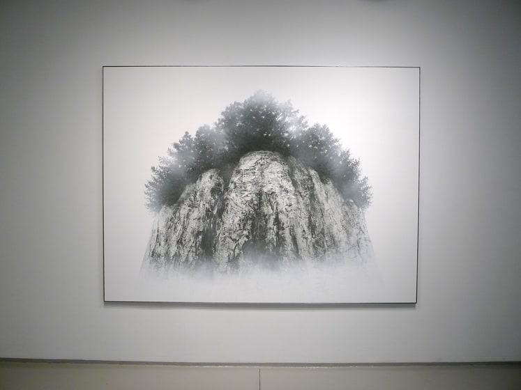 HIroshi Senju (千住博)