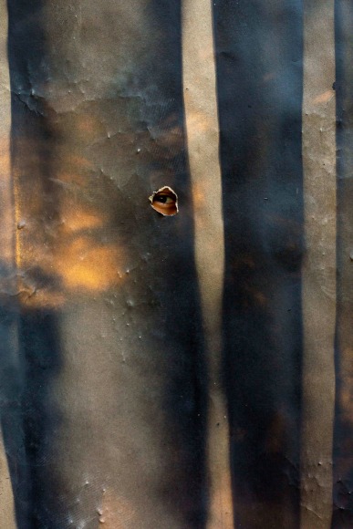 Qiana Mestrich, A Blanketing, Nearly Invisible Pressure from Thrall, 2020, archival inkjet print, 30.5 x 45.7 cm (12 x 18 inches)