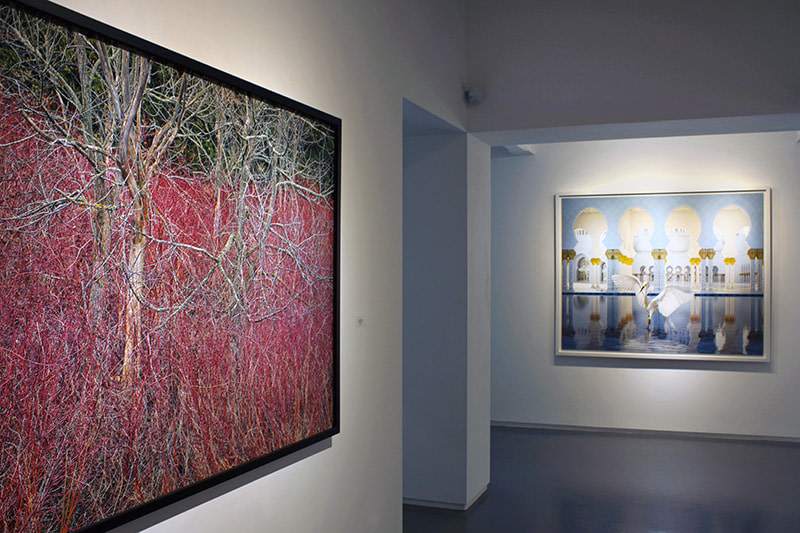 Sundaram Tagore Gallery Survey