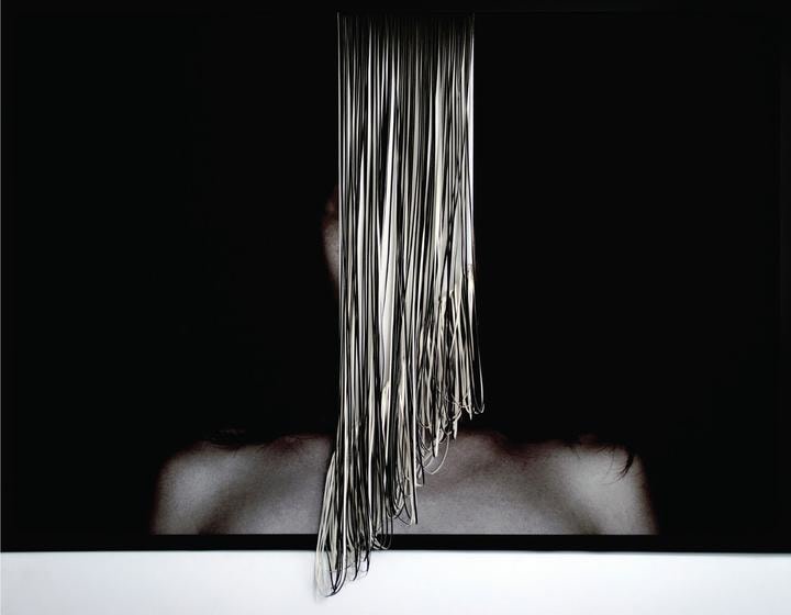 , Blinded, 2015, C-type print and hand-cut canvas, 30.3 x 43.7 inches/77 x 111 cm