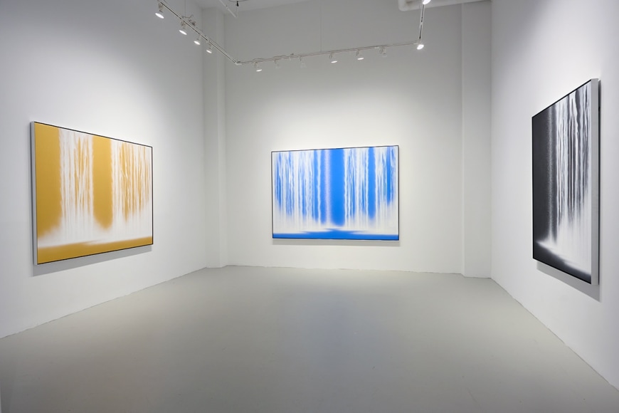 Hiroshi Senju: Physical/Metaphysical