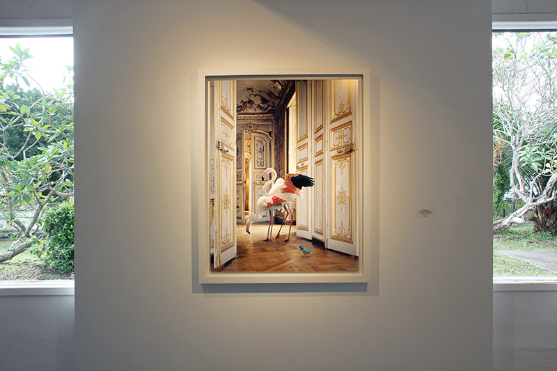 Inherent Beauty: Photographers Who Change How We See the World