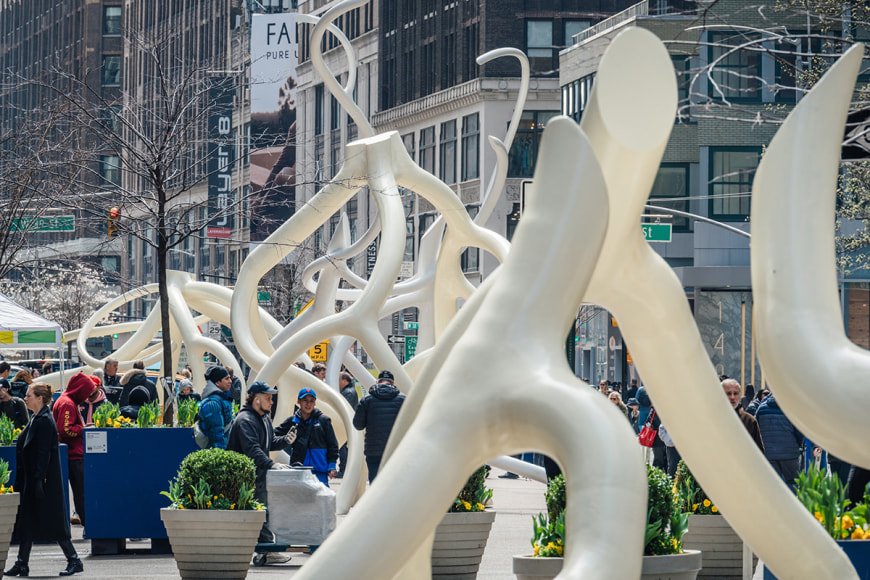 Photo by Alexandre Ayer / Diversity Pictures