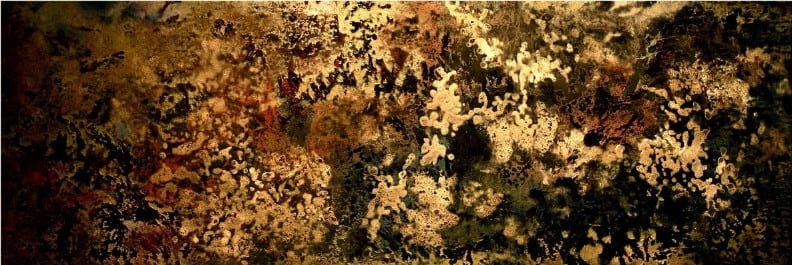 Nhat Tran, Into a Delightful Illusion, 2010, Japanese urushi on wood, 12 x 36 inches