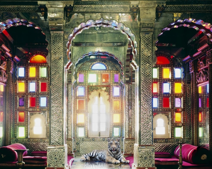 Karen Knorr, The Survivor, Deogarh Palace, Deogarh, 2012, Hahnemühle ink jet print, 122 x 152 cm (48 x 59.8 inches)