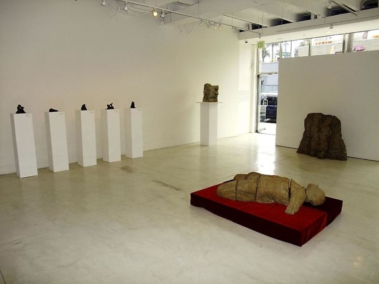 Jane McAdam Freud: Random