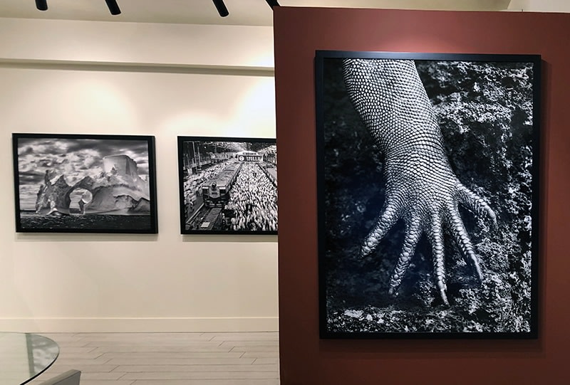 Sebasti&atilde;o Salgado