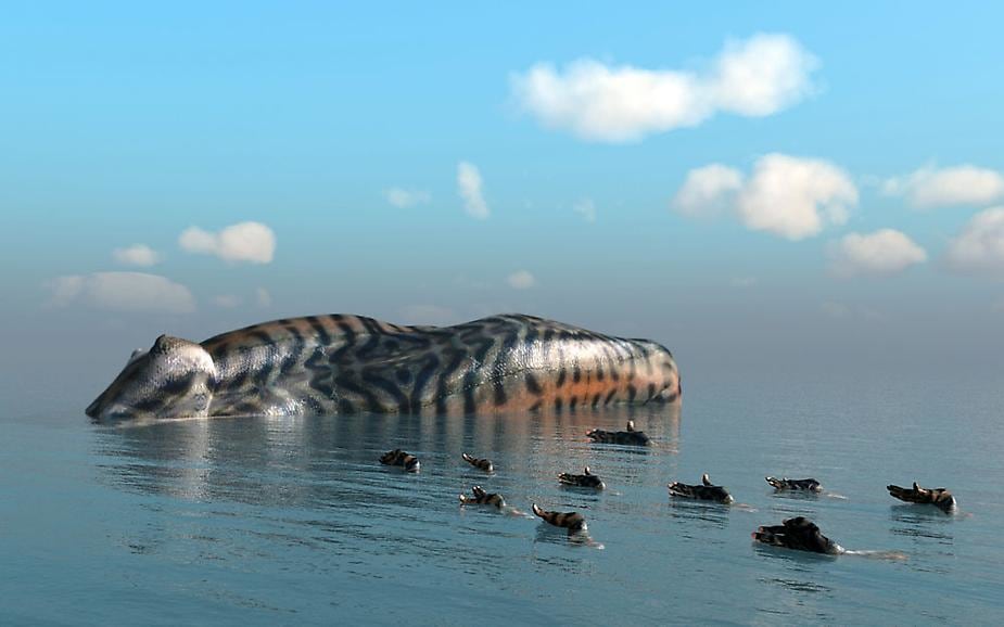 Kim Joon, Island-Mackerel, 2013, Digital print, 29.5 x 47.2 inches