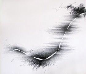 Golnaz Fathi, untitled, 2014, pen and varnish on canvas, 50.4 x 57.5 x 2 inches/128 x 146 x 5 cm