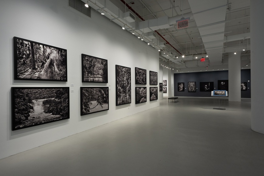 Sebasti&atilde;o Salgado: Amaz&ocirc;nia