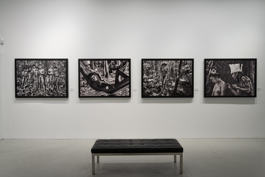 Sebasti&atilde;o Salgado: Amaz&ocirc;nia