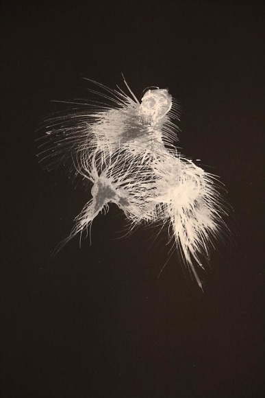 Amina Ahmed, The mere sound of your name.... When I hear the sound my head spins and my heart comes out of my mouth, 2009, ink on paper, 30 x 22 inches