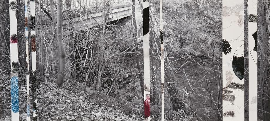 , Ardennes Uncovered: Memory, 2014, one photograph, seven drawings, 10.75 x 23.75 inches/27 x 60 cm