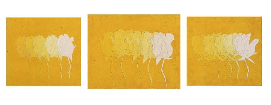 A Rose Is A Rose (Plato), 2005, pencil, acrylic, marble dust on canvas, 25 x 89 inches