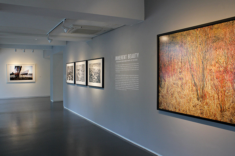 Inherent Beauty: Photographers Who Change How We See the World