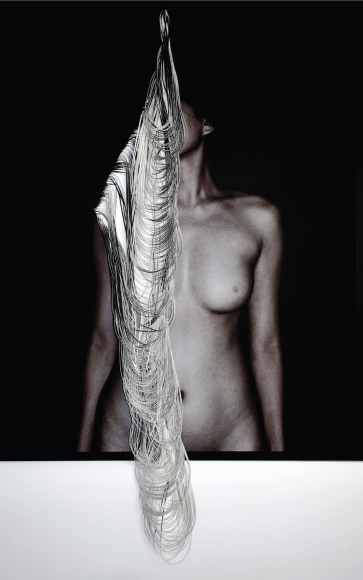 Faceless, 2015,&nbsp;C-type print and hand-cut canvas,&nbsp;43.8&nbsp;x 34.3 inches/111 x 87 cm