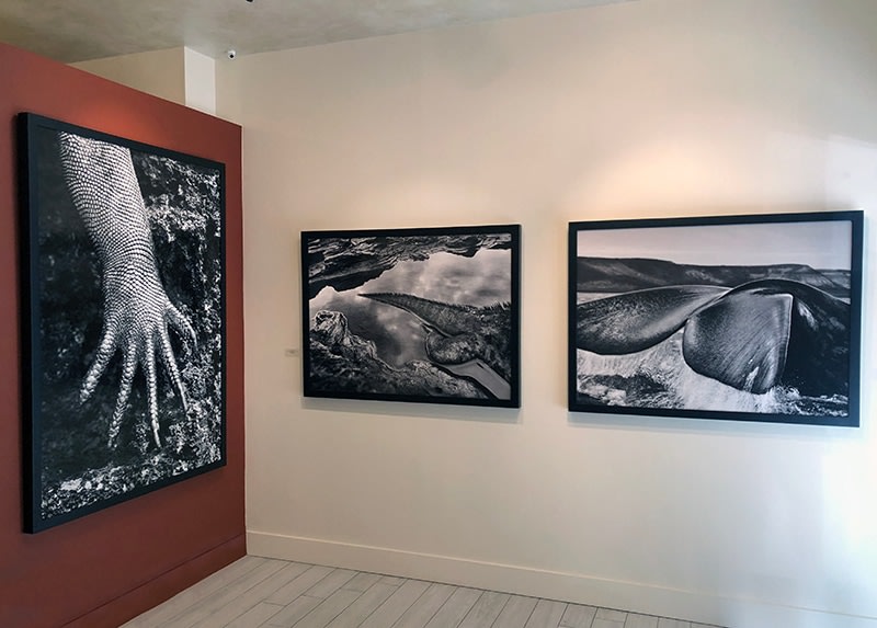 Sebasti&atilde;o Salgado