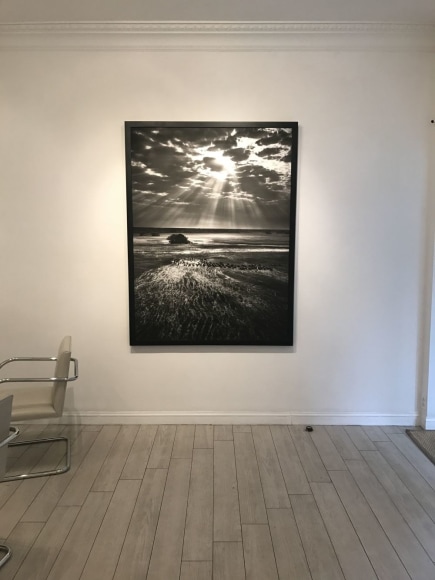 Sebasti&atilde;o Salgado: Selections from Genesis