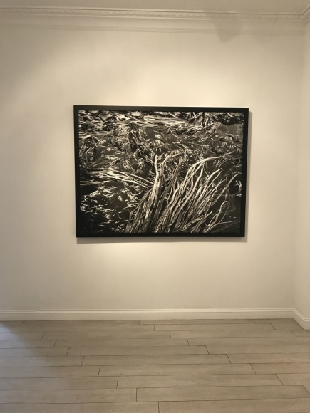 Sebasti&atilde;o Salgado: Selections from Genesis