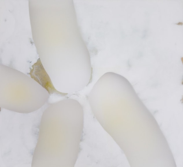 Udo Nöger, Lichtfelder 4, 2023, mixed media on canvas, 83.8 x 91.4 x 30.5 cm (33 x 36 x 12 inches)