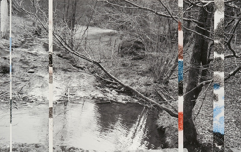 Denise Green, Ardennes Uncovered: Loss, 2014, one photograph, four drawings, 33.4 x 52.7 cm (13.1 x 20.75 inches)