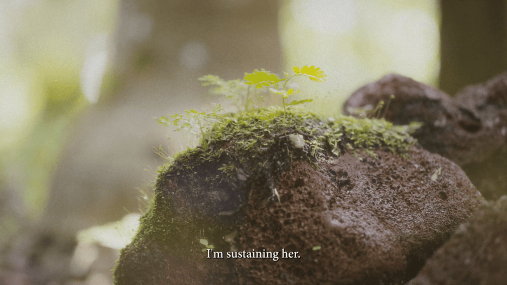 Charmaine Poh, What&rsquo;s softest in the world rushes and runs over what&rsquo;s hardest in the world, 2024, video