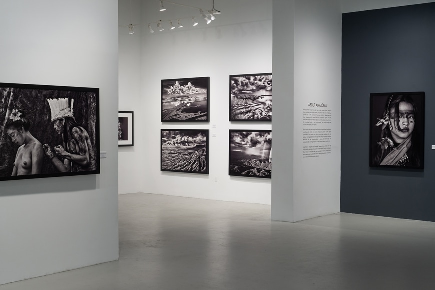 Sebasti&atilde;o Salgado: Amaz&ocirc;nia