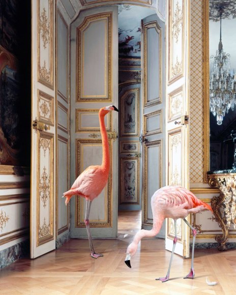 Karen Knorr, The Battle Gallery 2 (Ch&acirc;teau de Chantilly), 2020, colour pigment print on Hahnem&uuml;hle Fine Art Pearl Paper