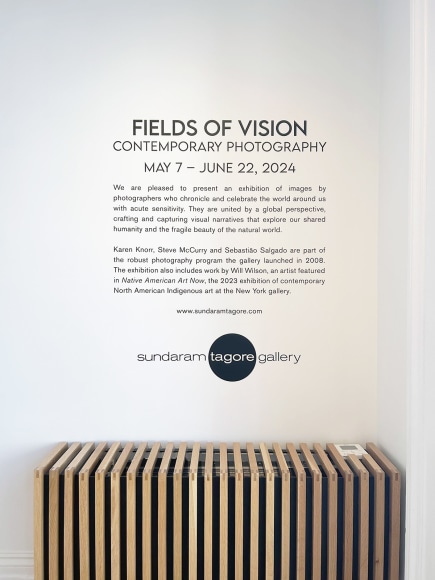 Fields of Vision