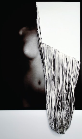 Melancholy, 2015,&nbsp;C-type print and hand-cut canvas,&nbsp;40.9&nbsp;x 30.4 inches/104 x 77 cm