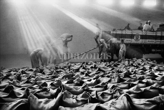 Sebasti&atilde;o Salgado, Coffee Curing Works, Karnataka State, India, 2003, gelatin silver print, 24 x 35 inches/61 x 89 cm. &copy; Sebasti&atilde;o Salgado/Amazonas Images