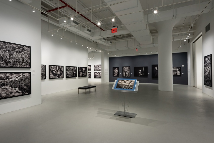 Sebasti&atilde;o Salgado: Amaz&ocirc;nia