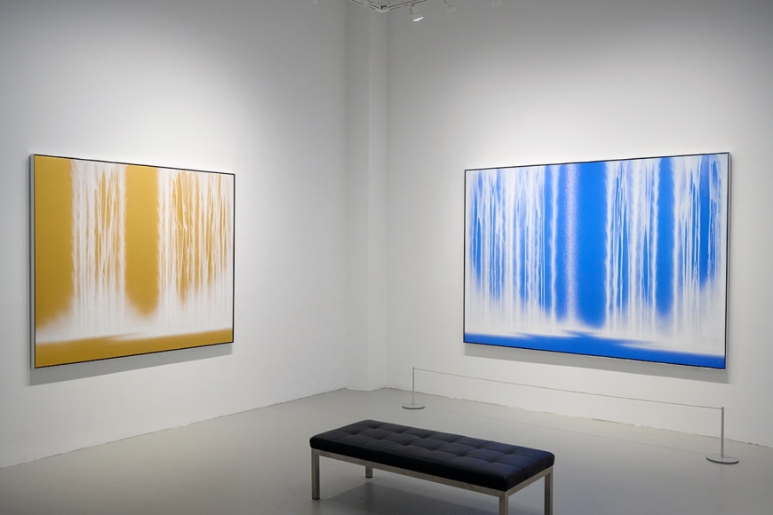 Hiroshi Senju: Physical/Metaphysical