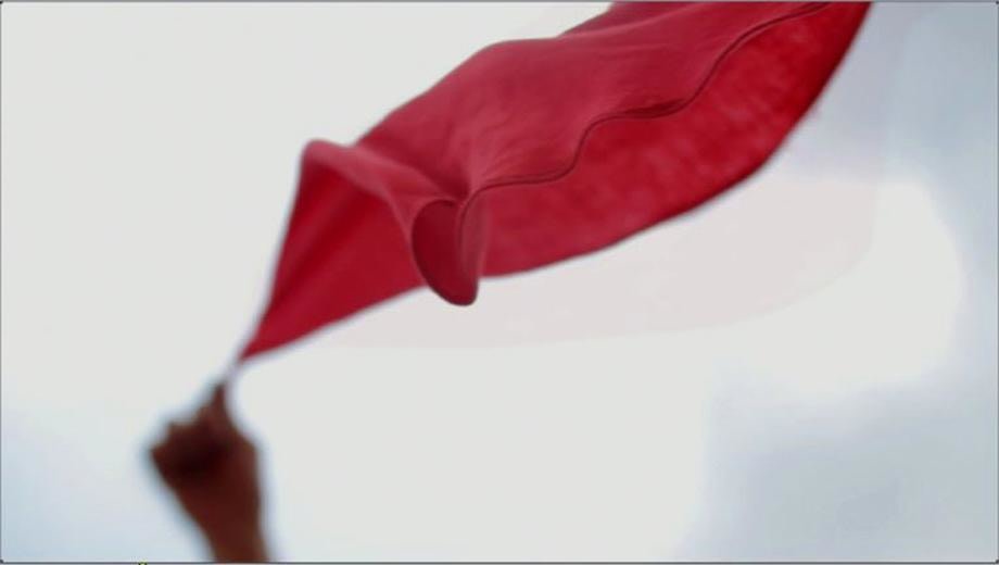 , Tran Luong, Lâp Lòe (Blink), 2012, color video, one-channel version, edition of four with 1 A.P., 10:04 minutes